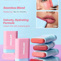 Sheglam Glass Glow Blush Stick