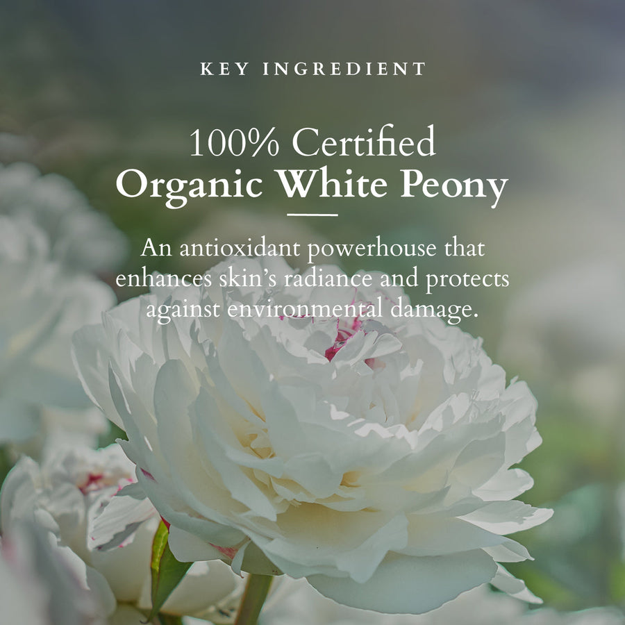 Lotus Organic Precious Brightening Cleansing Balm 50gm