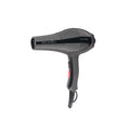 Ikonic Professional Blaze Hair Dryer 2000W