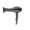 Ikonic Professional Blaze Hair Dryer 2000W