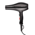 Ikonic Professional Blaze Hair Dryer 2000W
