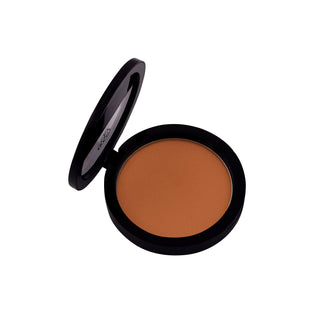 PAC Studio Powder Blusher - 02