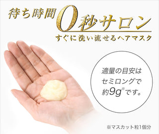 Tsubaki Premium Repair Mask Hair 180gm