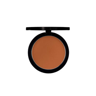 PAC Studio Powder Blusher - 02