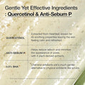 Anua Heartleaf Quercetinol Pore Deep Cleansing Foam