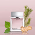 Calvin Klein Euphoria EDT Spray for Men, 100ml