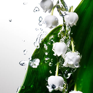 Davidoff Cool Water Eau De Toilette Spray for Women 100ML