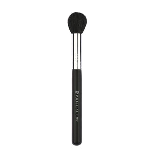 Proarte Focused Blush Brush PF-12