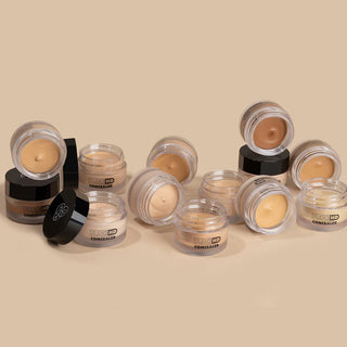 PAC Studio HD Concealer (12 gm)