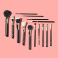 PAC Absolute Basics 14 Pcs Essential Brushes