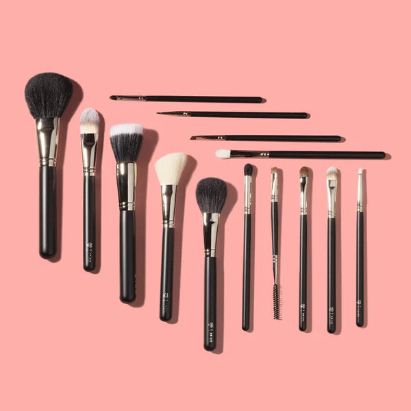 PAC Absolute Basics 14 Pcs Essential Brushes