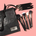 PAC Absolute Basics 14 Pcs Essential Brushes