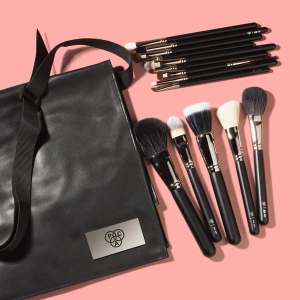 PAC Absolute Basics 14 Pcs Essential Brushes