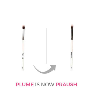 Praush P22 - Fluffy Eyeshadow Blending Brush (Medium)