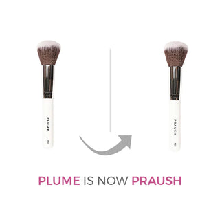 Parush P01 - Professional Powder Brush (Big)