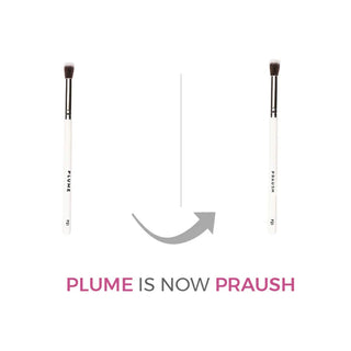 Praush P21 - Flat Top Concealer Brush
