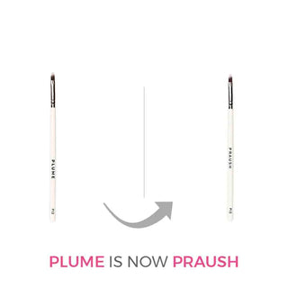 Praush P13 - Lip Brush