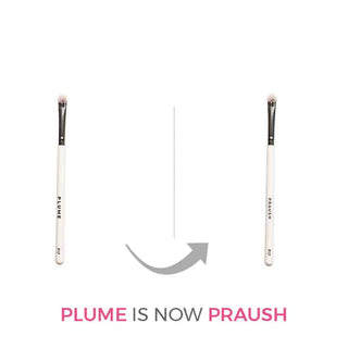 Praush P17 - Dense Dome Eyeshadow Application Brush
