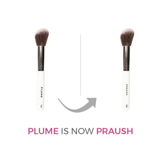 Praush P02 - Professional Angled Blush Brush