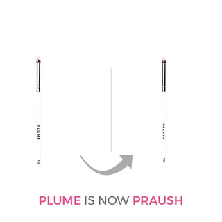 Praush P08 - Small eyeshadow blending brush