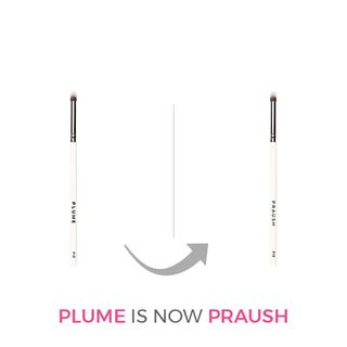Praush P19 - Eyeshadow Pencil /Smudger Brush