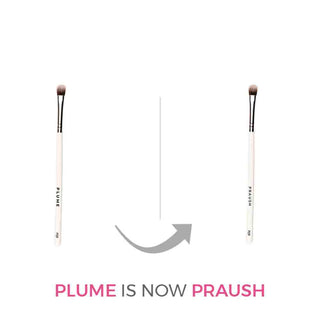 Praush P09 - Flat Eyeshadow Blending Brush