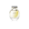 Calvin Klein Beauty Eau de Parfum for Women 100ML