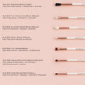 Beautilicious- Brushes