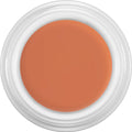 Kryolan Derma color Camouflage Creme 4g