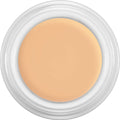 Kryolan Derma color Camouflage Creme 4g