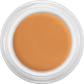 Kryolan Derma color Camouflage Creme 4g