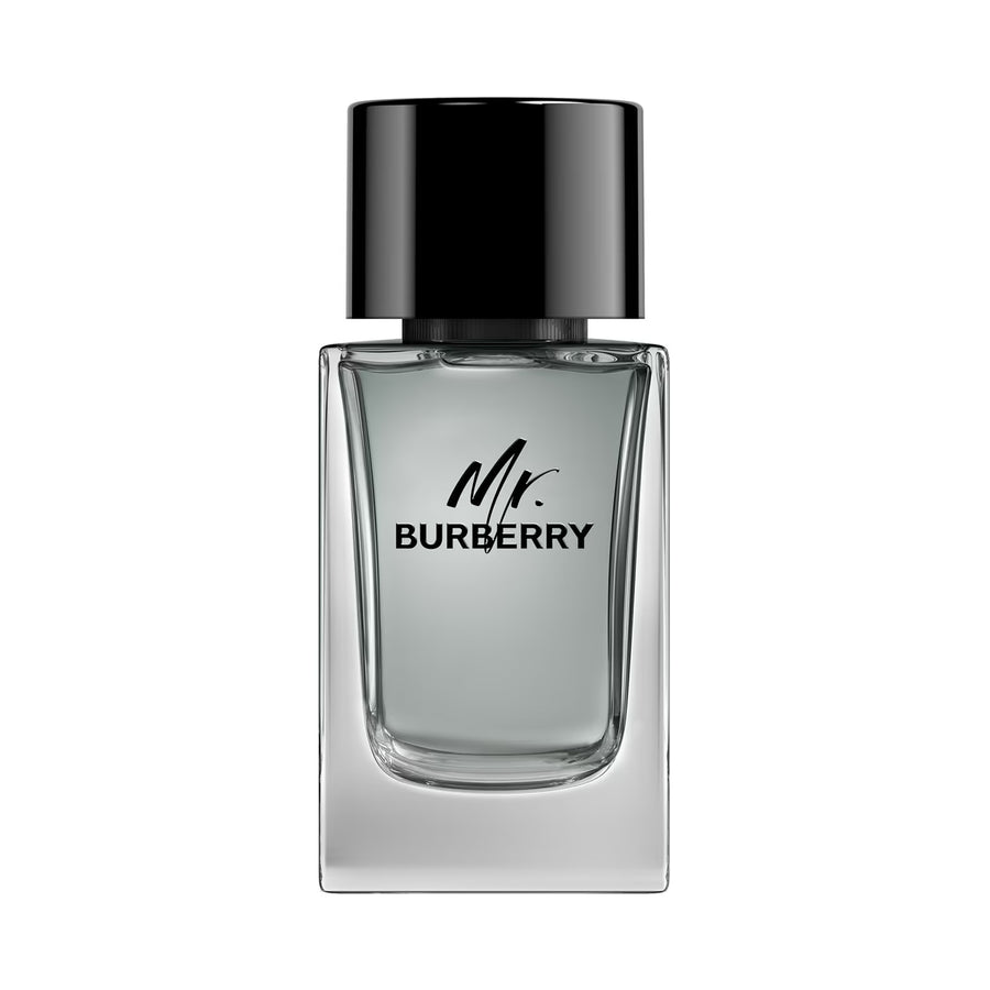 Burberry Mr. Burberry Eau De Toilette (100ml)