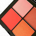 Nars Basic Instincts Cheek Quad II