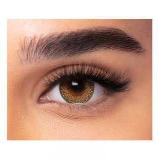 Alcon Freshlook CC Allure Hazel Color One Day (10 Lens/Box)
