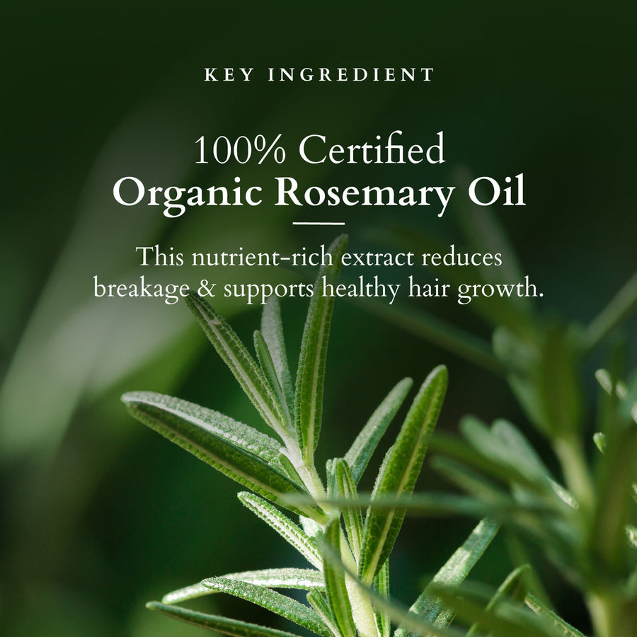 Lotus Organics+ Hair Fall Control Multi Herbs Oil 100ml