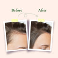Lotus Organics+ Hair Fall Control Multi Herbs Oil 100ml
