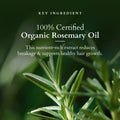 Lotus Organics+ Hair Fall Control Revitalizer 100ml