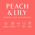 Peach & Lily Glass Skin Veil Mist 100ML