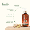 Lotus Organics+ Intensive Scalp Care Shampoo 210ml