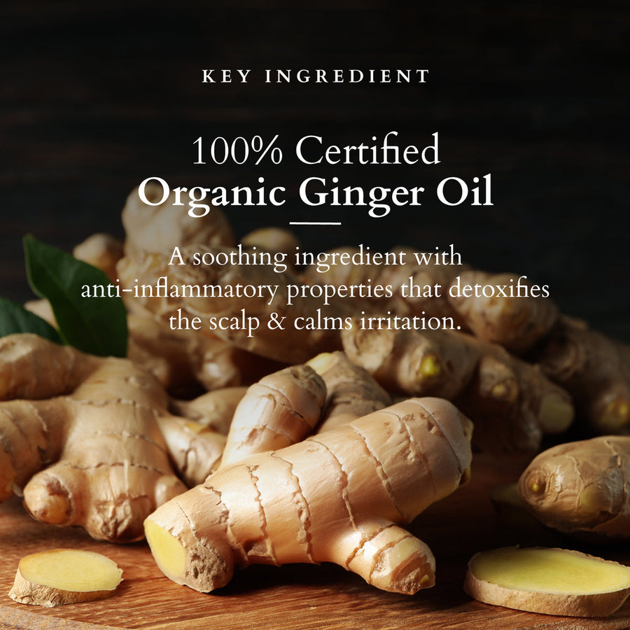 Lotus Organics+ Intensive Scalp Revitalizing Tonic 100ml