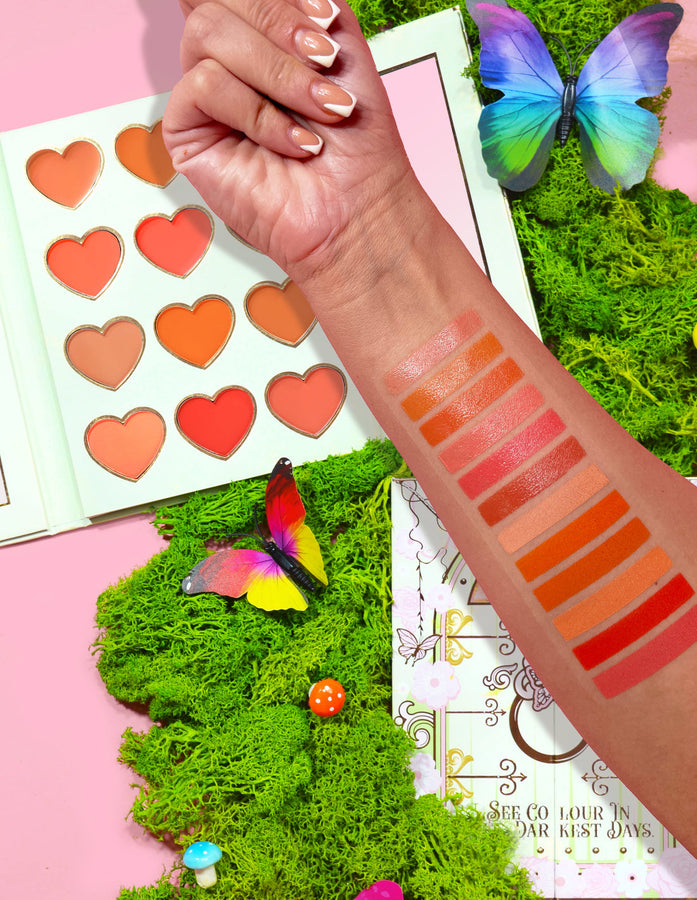 Plouise See Colour In Your Darkest Days Blusher Palette