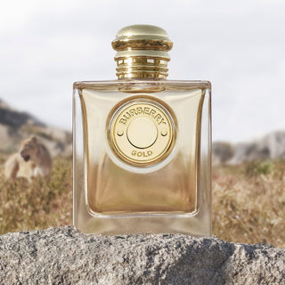 Burberry Gold - Eau de Parfum 5 ml