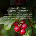 Lotus Organics+ Ultra Matte Mineral Sunscreen SPF 40 PA+++