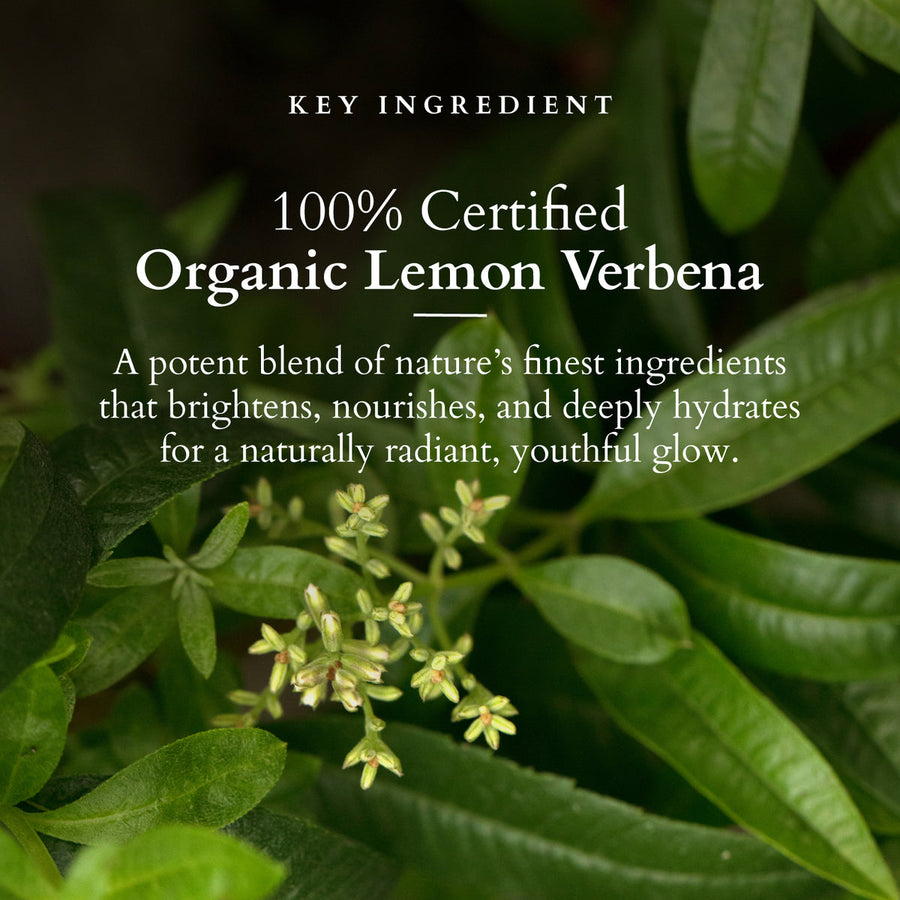 Lotus Organics+ Vitamin-C Radiance Booster Cleanser 100gm