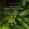 Lotus Organics+ Vitamin-C Radiance Booster cream 50gm