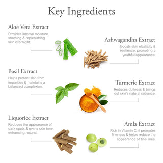 Vrishvrindaa Youth Night Cream – Repair & Brighten Skin