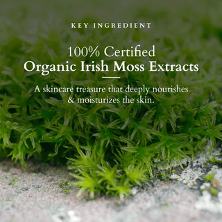 Lotus Organic Divine Nourish Face Wash 100gm