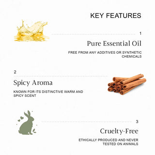 Vrishvrindaa Cinnamon Oil - Clears Skin & Refreshes Mind 25ml