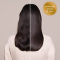 Moroccanoil Treatment Original Oil 100 Ml