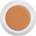 Kryolan Derma color Camouflage Creme 4g